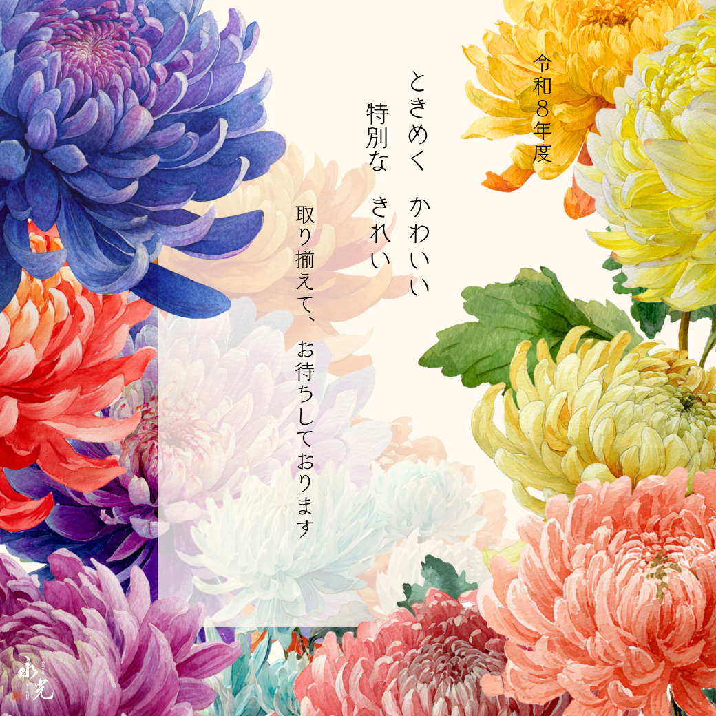 かわいいきれいな雛人形販売開始